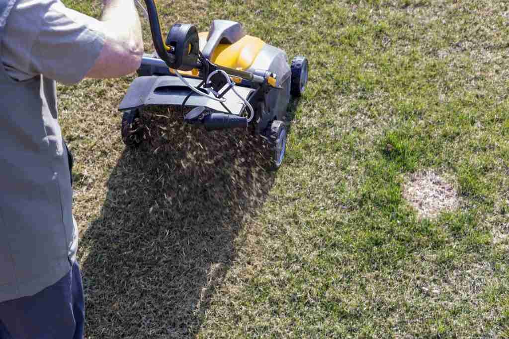 lawn aeration charlottesville