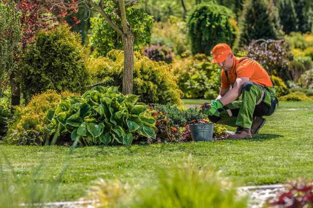 landscaper building flower bed