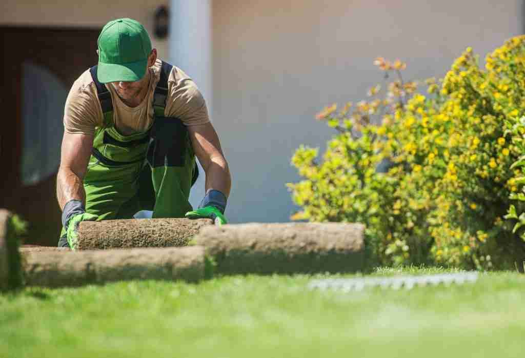 laying sod