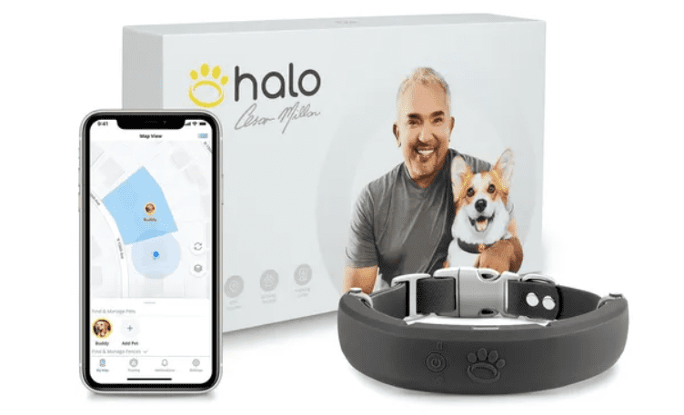 halo collar