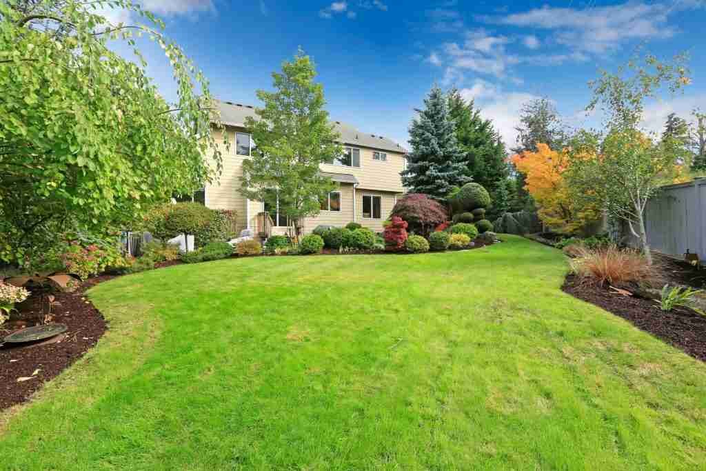 modern garden design