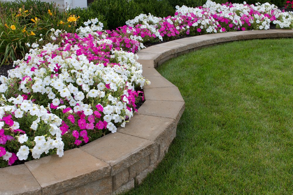 new landscape design project