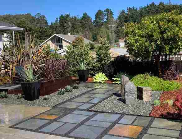 succulent garden