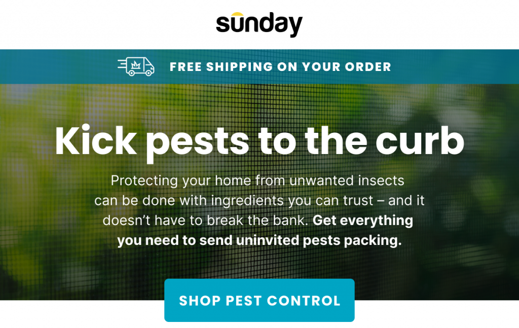 sunday pest control
