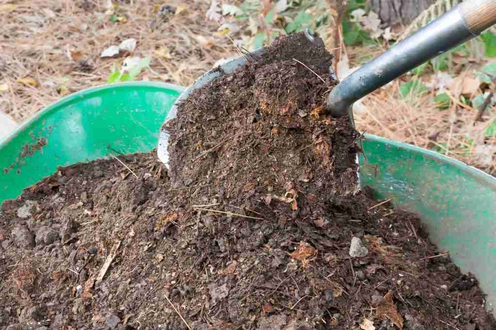 compost bin