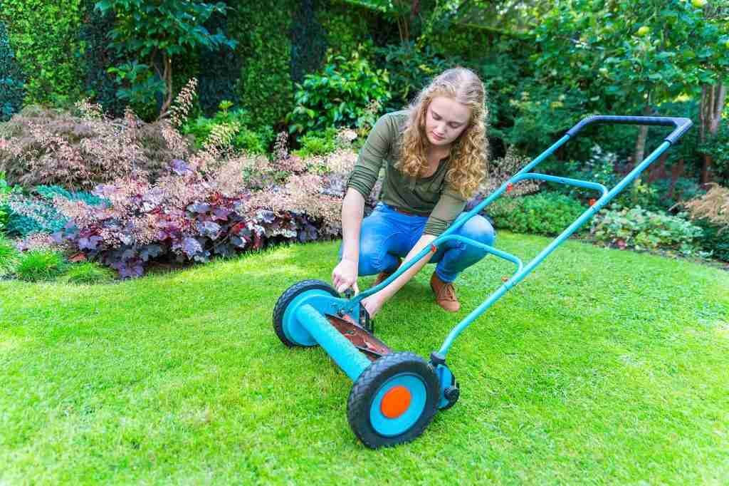 reel mower