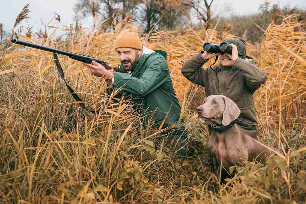 hunting with dog