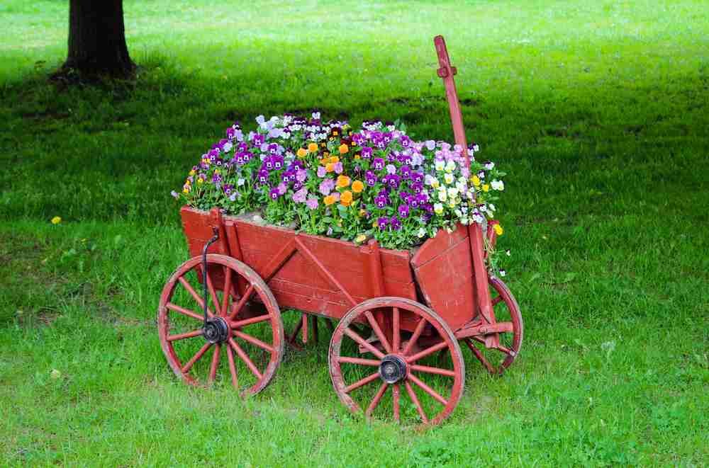 lawn decoration