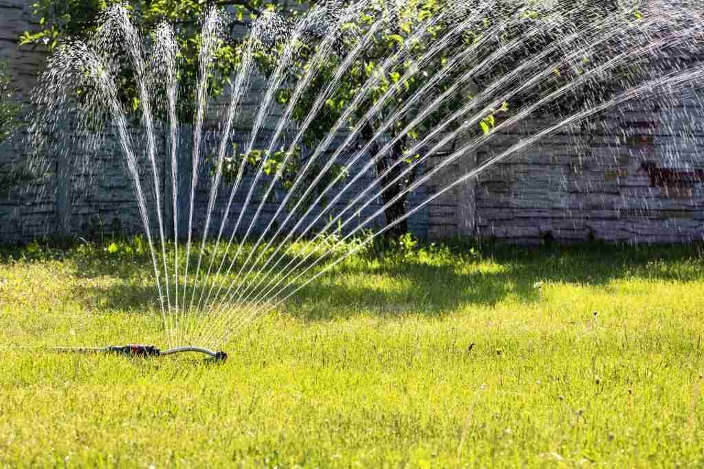 lawn sprinkler