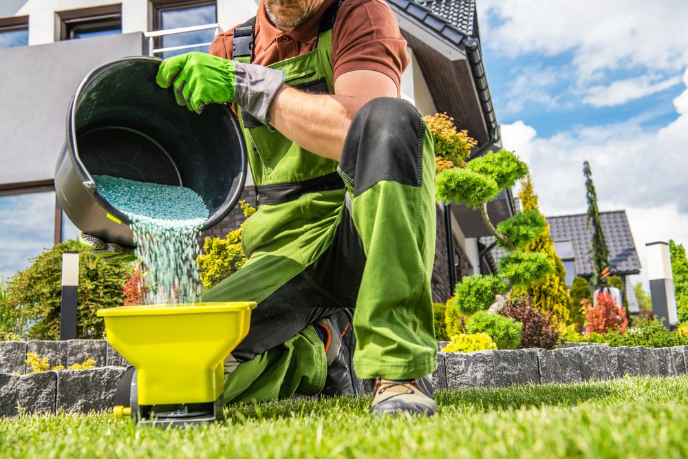 spreading lawn fertilizer