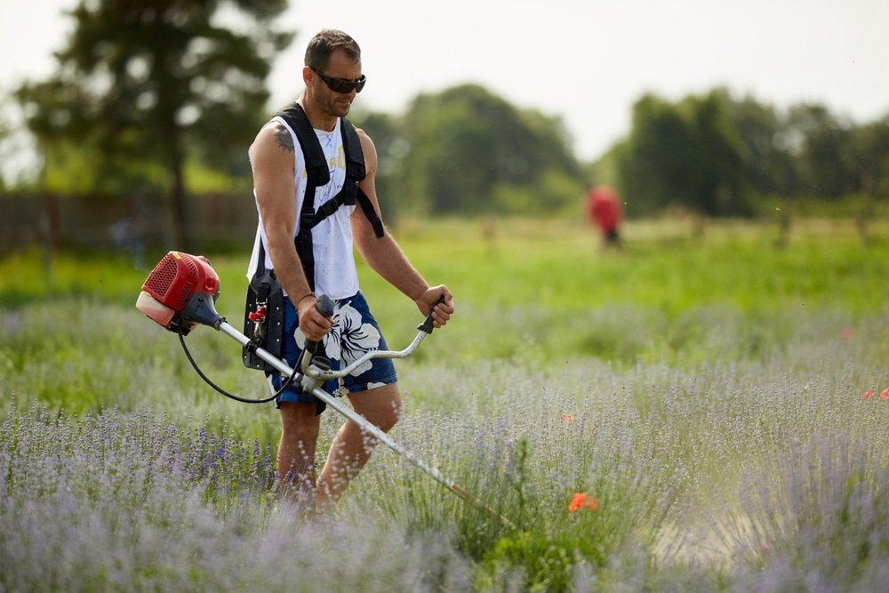 man using brush cutter