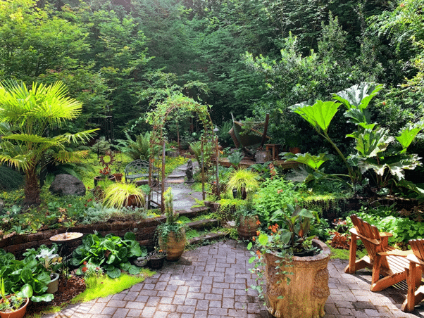 relaxing backyard