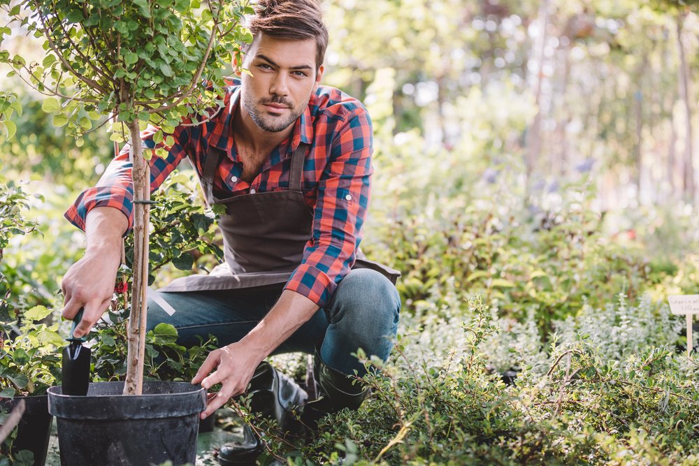tree planting contractor