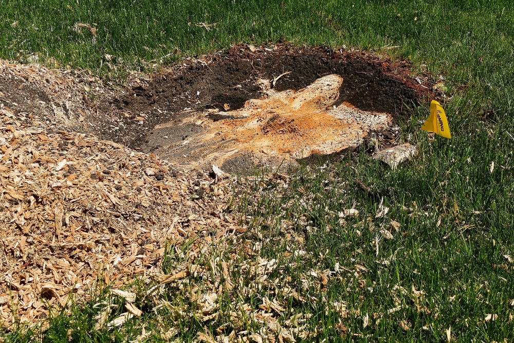tree stump removed after grinding