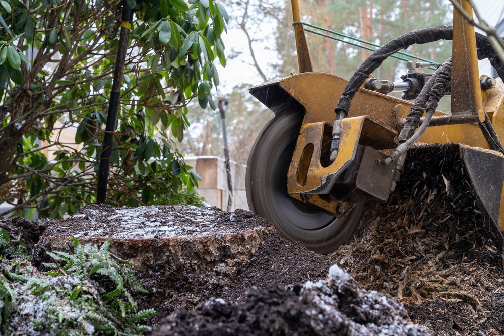 stump grinder machine at work