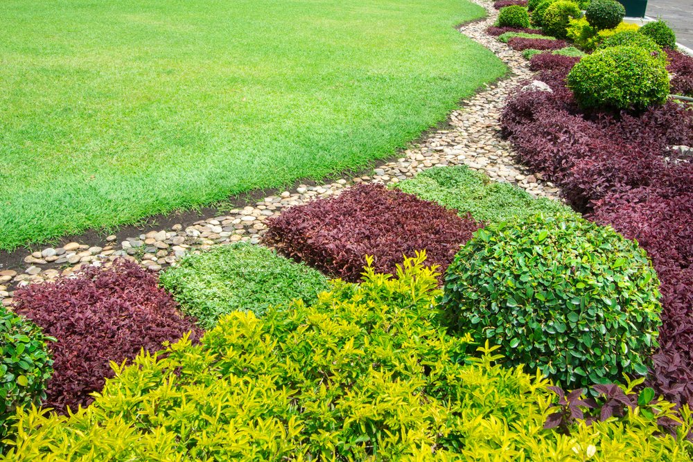 simple landscape design