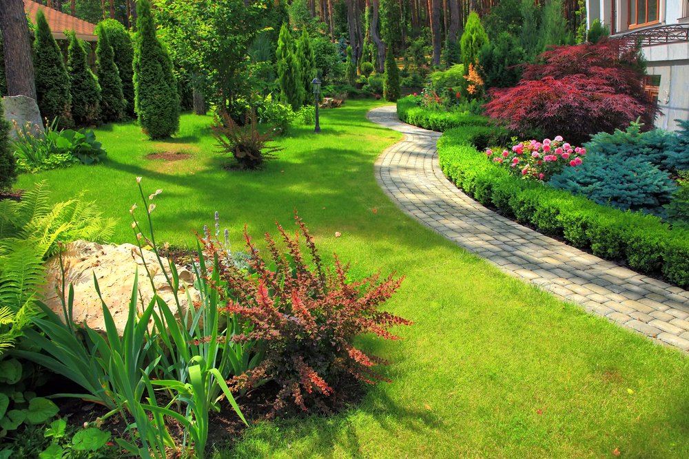 front yard designed by architect