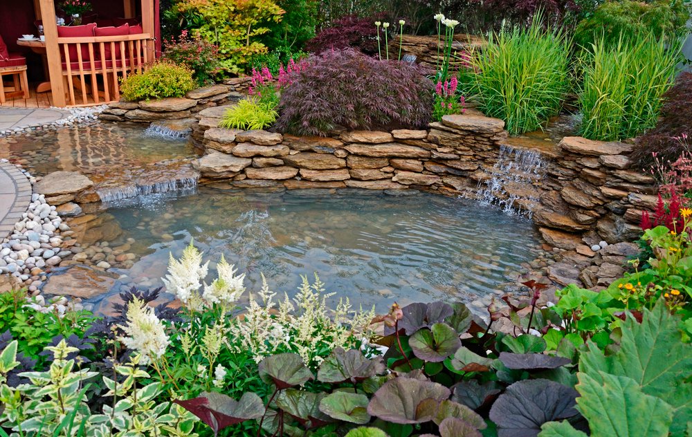 small water pond feature