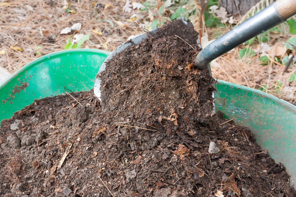 mulch installation