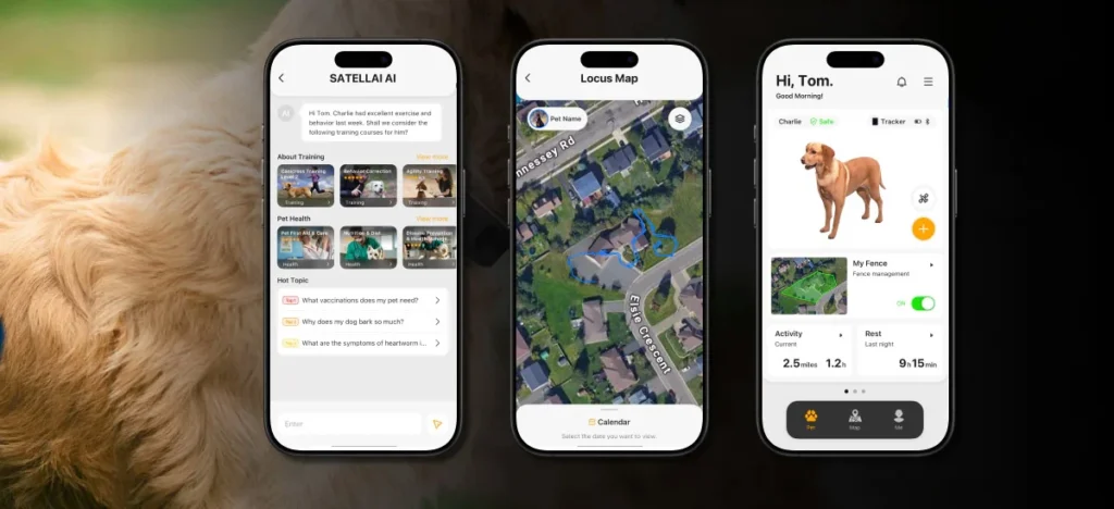 satellai app is well designed