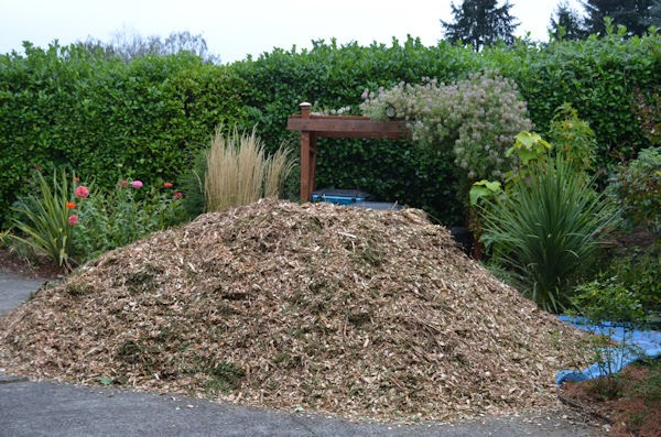mulch pile