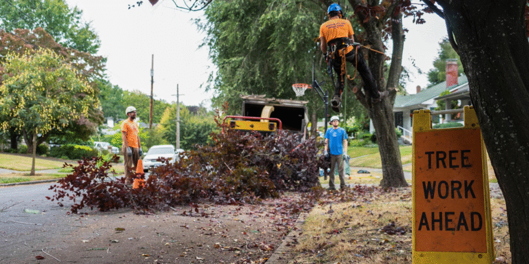 ChipDrop Review: Can You Get Free Mulch?