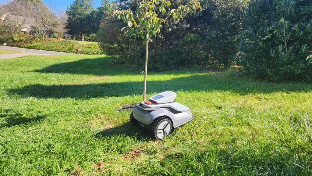v1000 robot mower navigating around tree