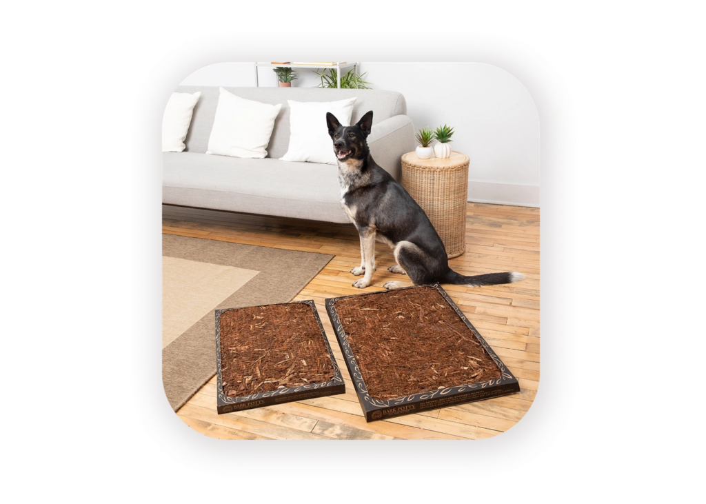 dog with bark potty