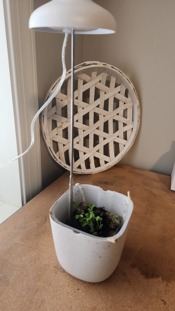 extendable led light