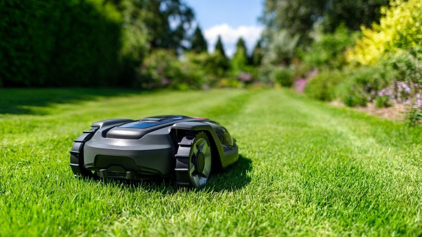 Mastering Lawn Care in 2026 Trends, Tools, and Pro Tips for Perfect Turf