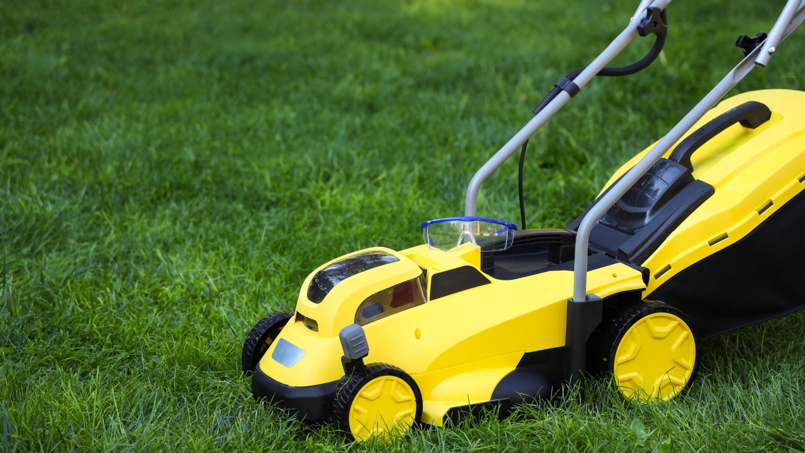 Kick Off Lawn Care Right March 2026 Mowing Guide for Lush Results