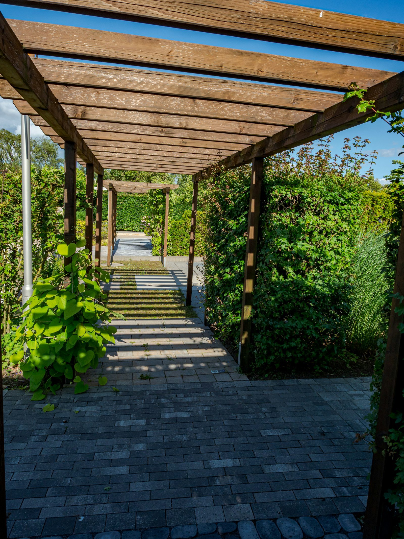 Wooden pergola walkway through a lush, professionally landscaped garden