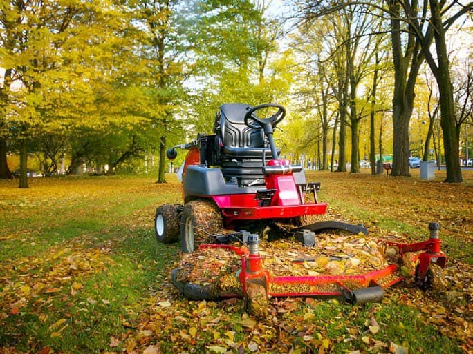 Green lawn with fallen autumn leaves, ready for fall lawn care